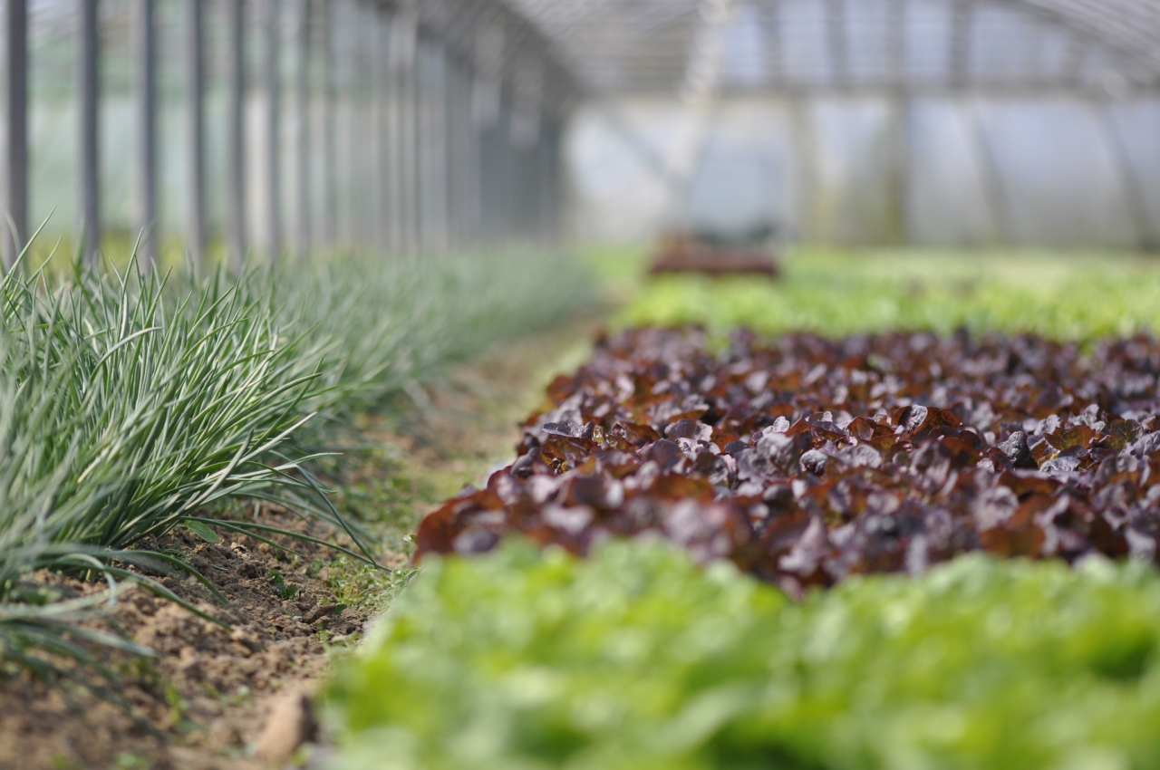 Le Havre culture agro alimentaire